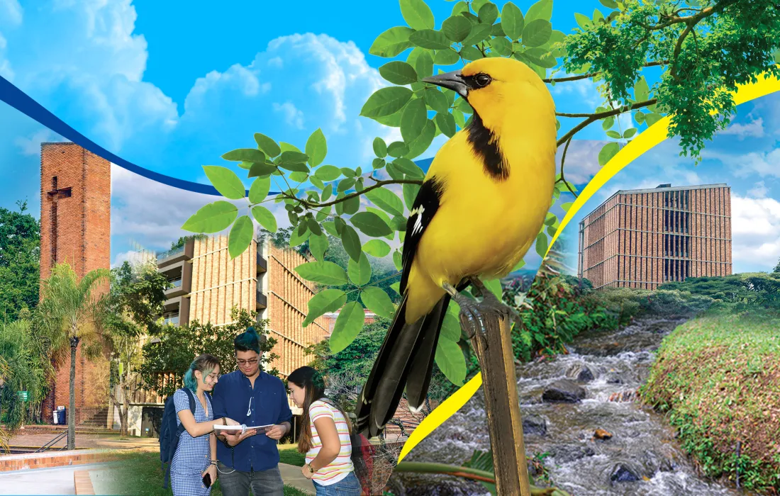 La Javeriana Cali, el campus universitario más bonito que he conocido La Javeriana Cali, el campus universitario más bonito que he conocido