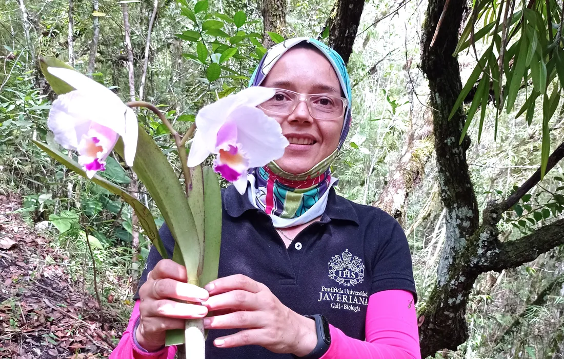 Estudio de profesora javeriana revela que fragmentación de los bosques afecta a población de orquídeas epífetas Estudio de profesora javeriana revela que fragmentación de los bosques afecta a población de orquídeas epífetas