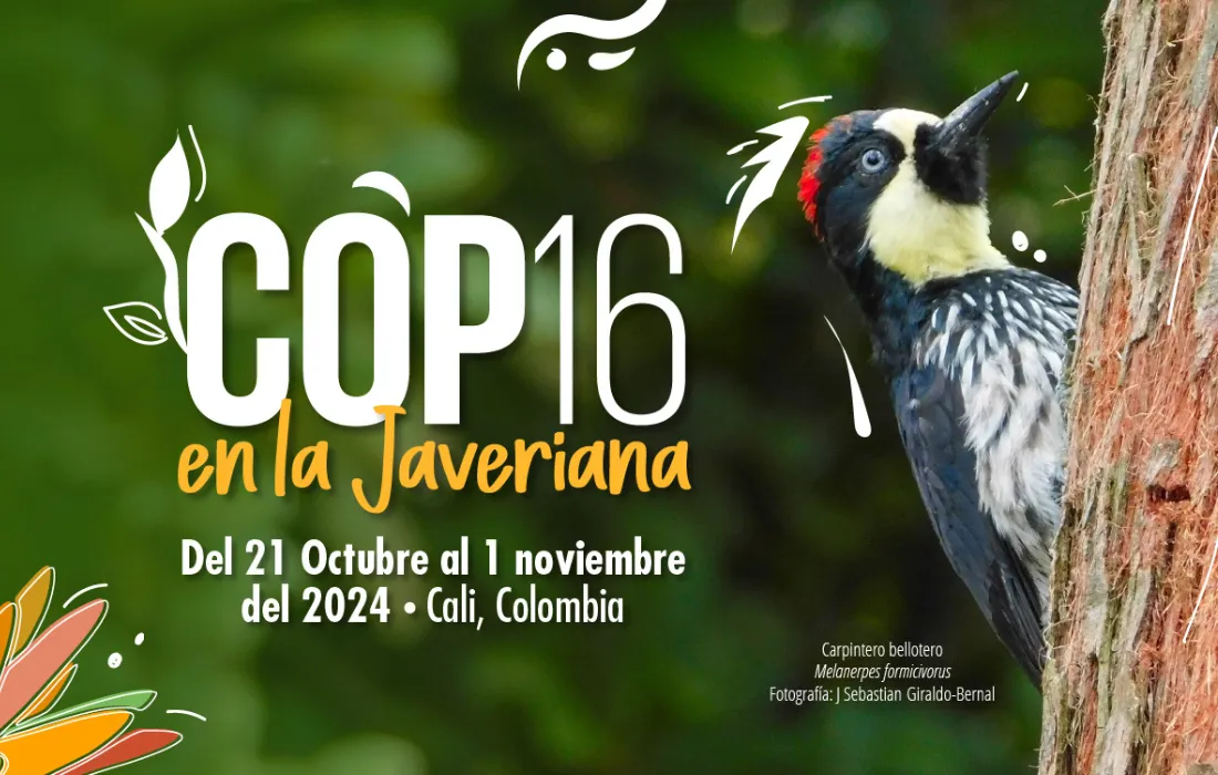 COP16 en la Javeriana