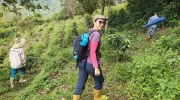Estudio de profesora javeriana revela que fragmentación de los bosques afecta a población de orquídeas epífetas Estudio de profesora javeriana revela que fragmentación de los bosques afecta a población de orquídeas epífetas