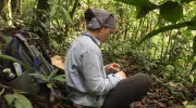Estudio de profesora javeriana revela que fragmentación de los bosques afecta a población de orquídeas epífetas Estudio de profesora javeriana revela que fragmentación de los bosques afecta a población de orquídeas epífetas