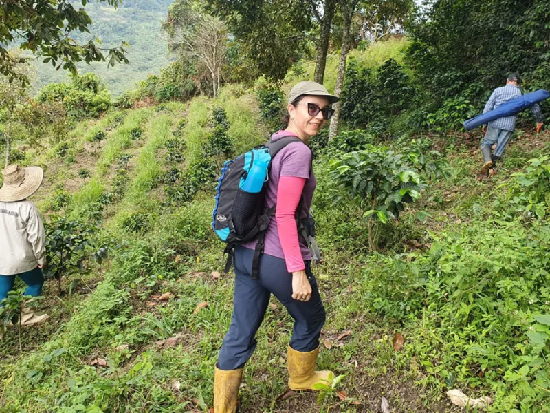 Estudio de profesora javeriana revela que fragmentación de los bosques afecta a población de orquídeas epífetas Estudio de profesora javeriana revela que fragmentación de los bosques afecta a población de orquídeas epífetas
